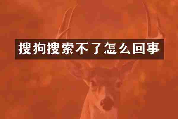 搜狗搜索不了怎么回事