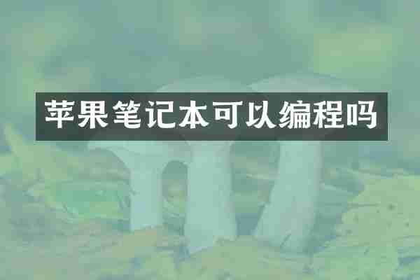 苹果笔记本可以编程吗
