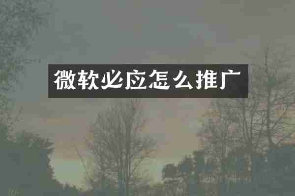 微软必应怎么推广