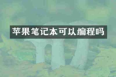 苹果笔记本可以编程吗
