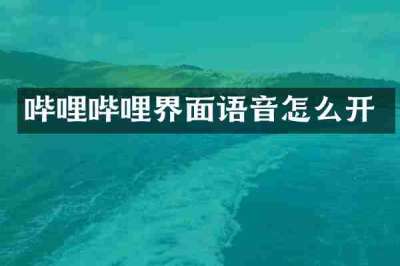 哔哩哔哩界面语音怎么开