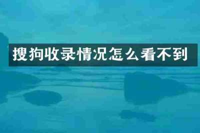搜狗收录情况怎么看不到