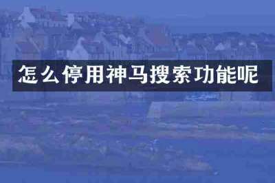 怎么停用神马搜索功能呢