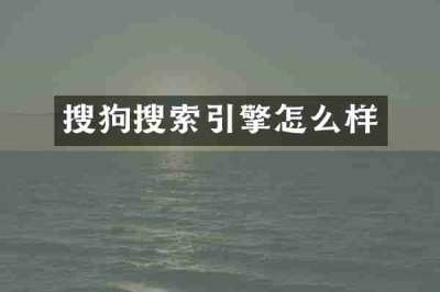 搜狗搜索引擎怎么样