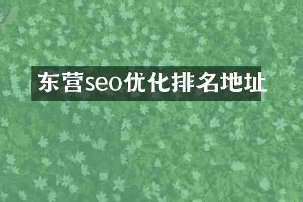 东营seo优化排名地址