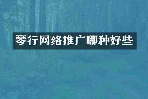 琴行网络推广哪种好些