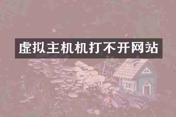 虚拟主机机打不开网站