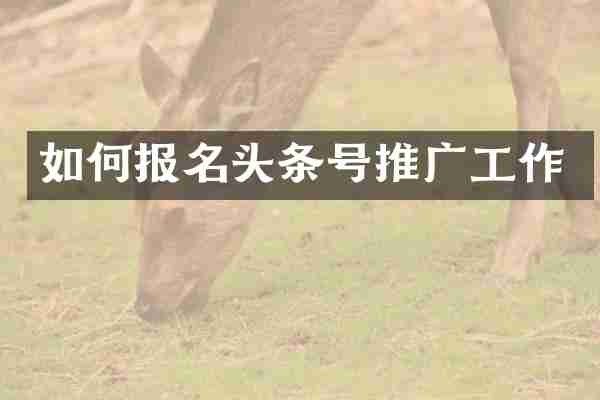 如何报名头条号推广工作