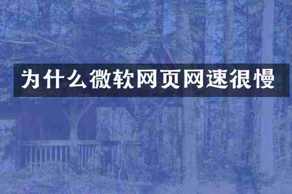 为什么微软网页网速很慢