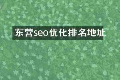 东营seo优化排名地址