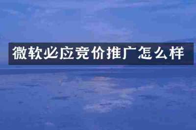 微软必应竞价推广怎么样