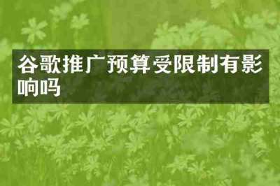 谷歌推广预算受限制有影响吗