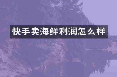 快手卖海鲜利润怎么样