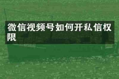 微信视频号如何开私信权限