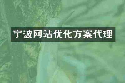 宁波网站优化方案代理