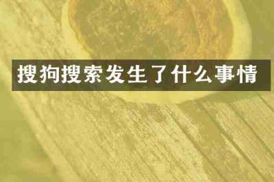 搜狗搜索发生了什么事情