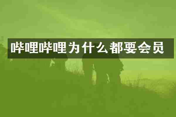 哔哩哔哩为什么都要会员