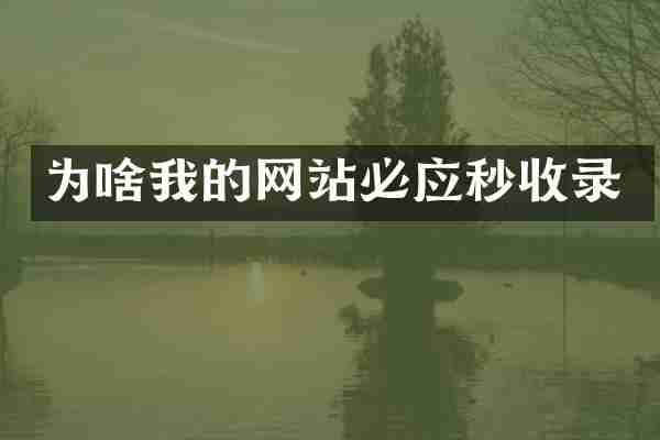 为啥我的网站必应秒收录