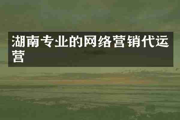 湖南专业的网络营销