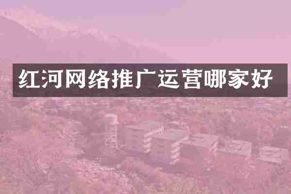 红河网络推广运营哪家好