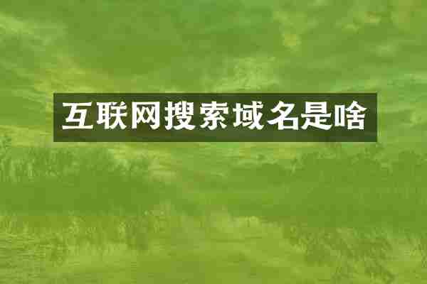 互联网搜索域名是啥