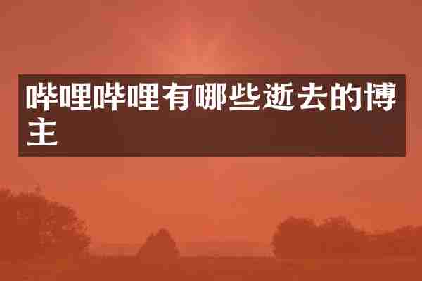 哔哩哔哩有哪些逝去的博主