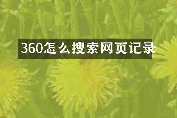 360怎么搜索网页记录