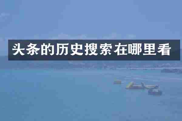 头条的历史搜索在哪里看