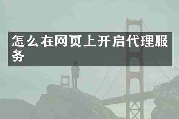 怎么在网页上开启代理服务