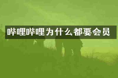 哔哩哔哩为什么都要会员