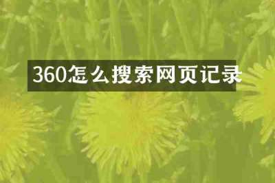 360怎么搜索网页记录
