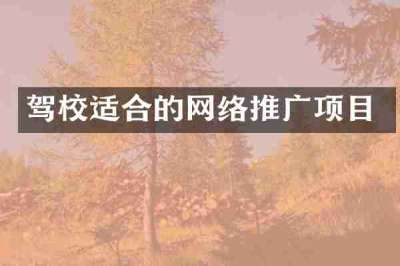 驾校适合的网络推广项目
