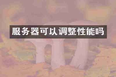服务器可以调整性能吗