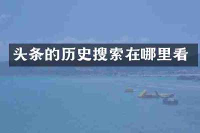 头条的历史搜索在哪里看