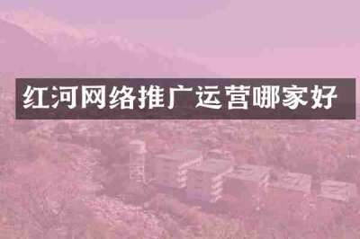 红河网络推广运营哪家好