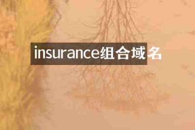 insurance组合域名