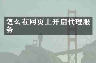 怎么在网页上开启代理服务
