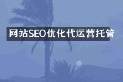 网站SEO优化代运营托管