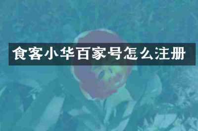 食客小华百家号怎么注册