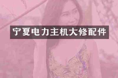 宁夏电力主机大修配件