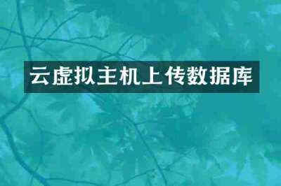 云虚拟主机上传数据库