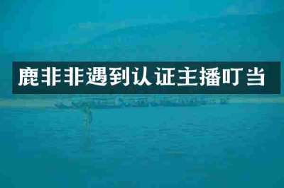 鹿非非遇到认证主播叮当