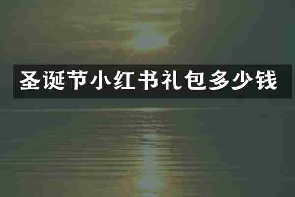 圣诞节小红书礼包多少钱