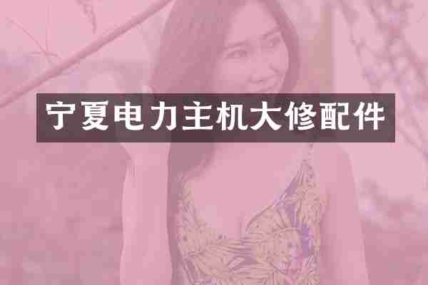 宁夏电力主机大修配件