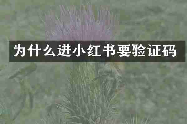 为什么进小红书要验证码
