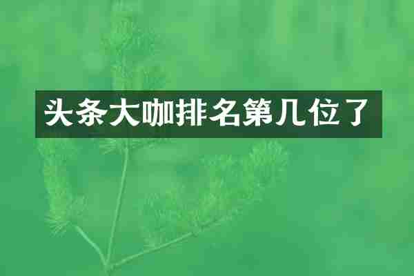 头条大咖排名第几位了