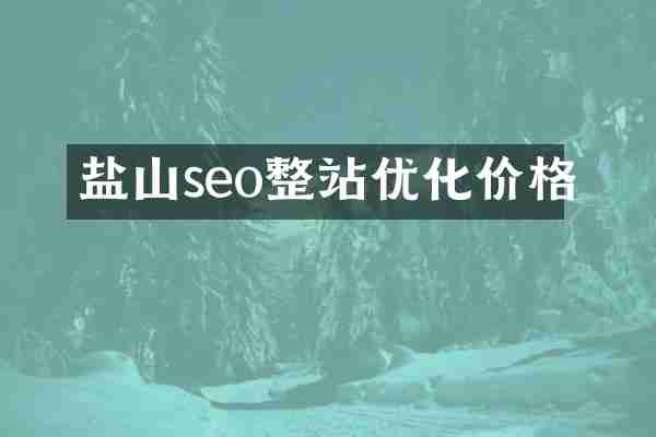 盐山seo整站优化价格