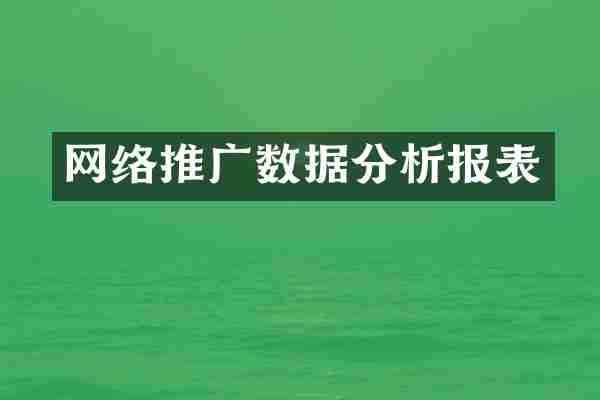 网络推广数据分析报表