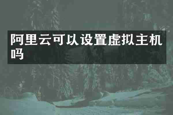 阿里云可以设置虚拟主机吗