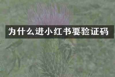为什么进小红书要验证码